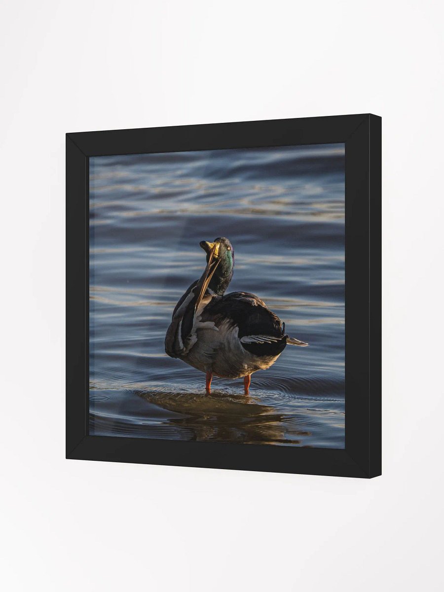 Ducking Fabulous product image (2)