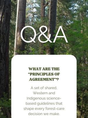 What are the “Principles of Agreement”? A set of shared, Western and Indigenous science-based guidelines that shape every forest-care decision we make. The Forest Bridges collaborative has developed a set of Principles of Agreement that propose direction for key areas of management - as well as barriers to management and access - that need to be addressed to realize our shared mission and vision on the O&C Lands. Read them here: https://bit.ly/Principles-of-Agreement #collaboration #principlesofagreement #forestmanagement #landaccess #oandclands