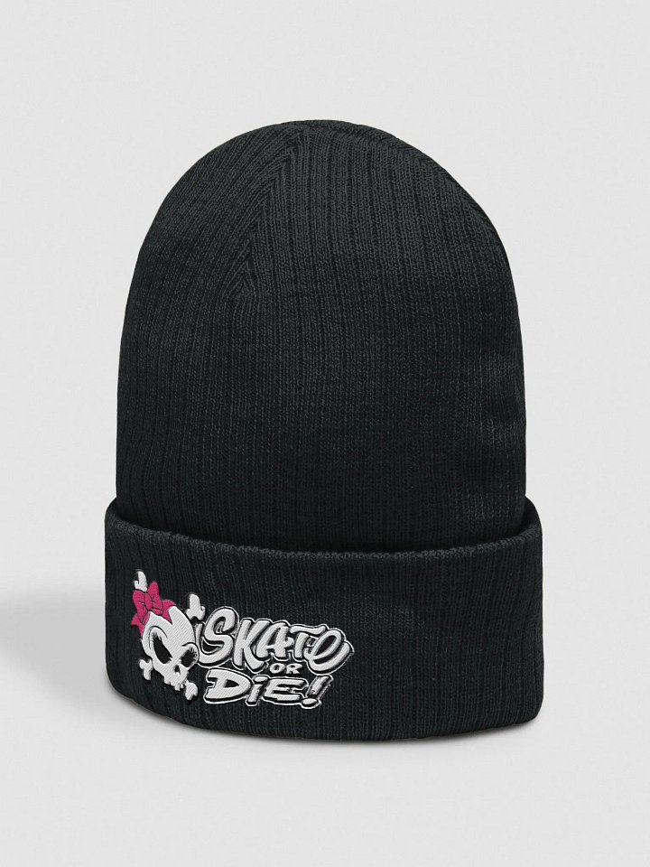 Skate Or Die! Beanie Womens product image (2)