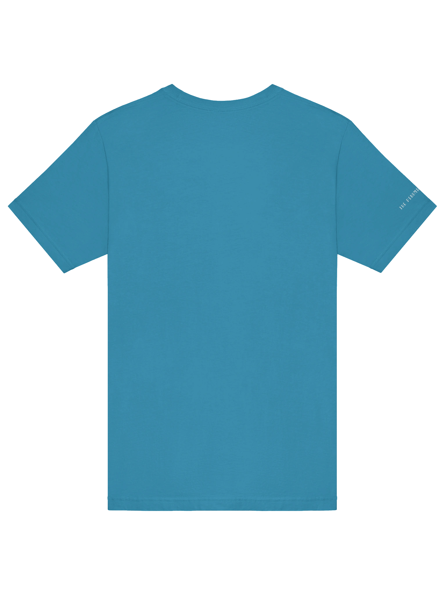 NO POST Wet Park T-Shirt (Aqua) v2 product image (6)