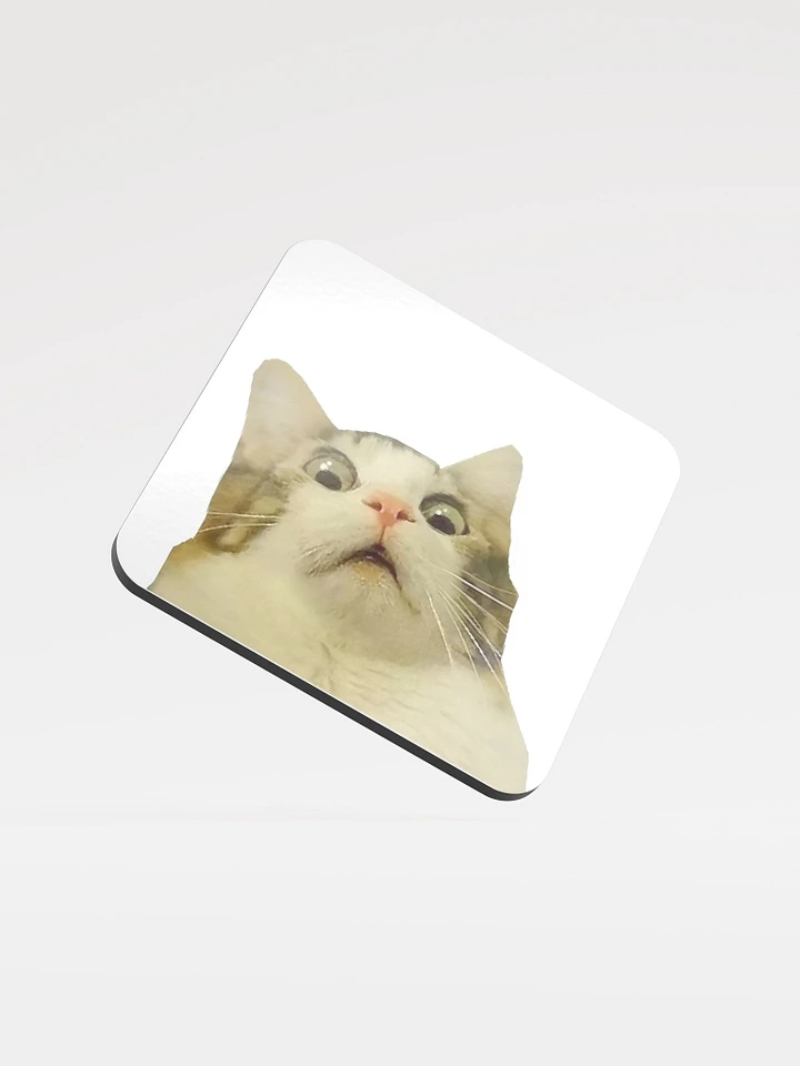 Glossed Cork Coaster: Meme Cats product image (1)