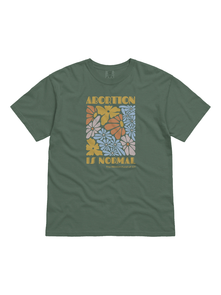 Abortion is Normal (100% Cotton) product image (1)