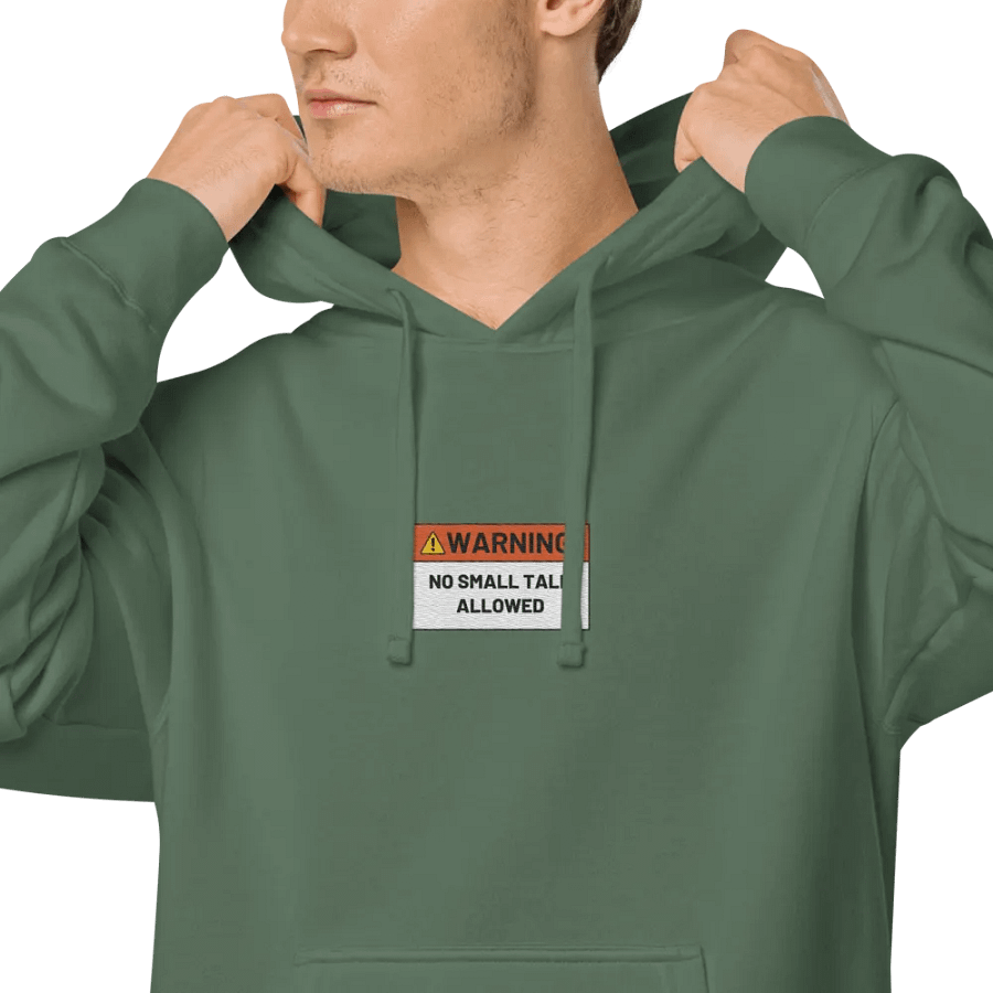 NO SMALL TALK ALLOWED embroidered pigment hoodie product image (6)