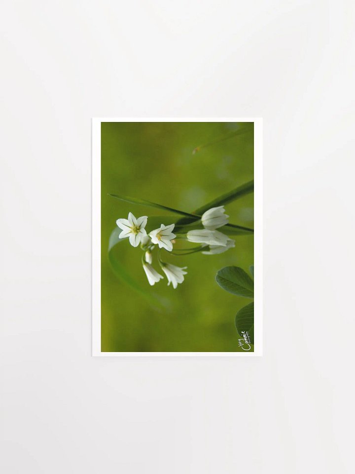 Nature's Beauty - Print product image (1)