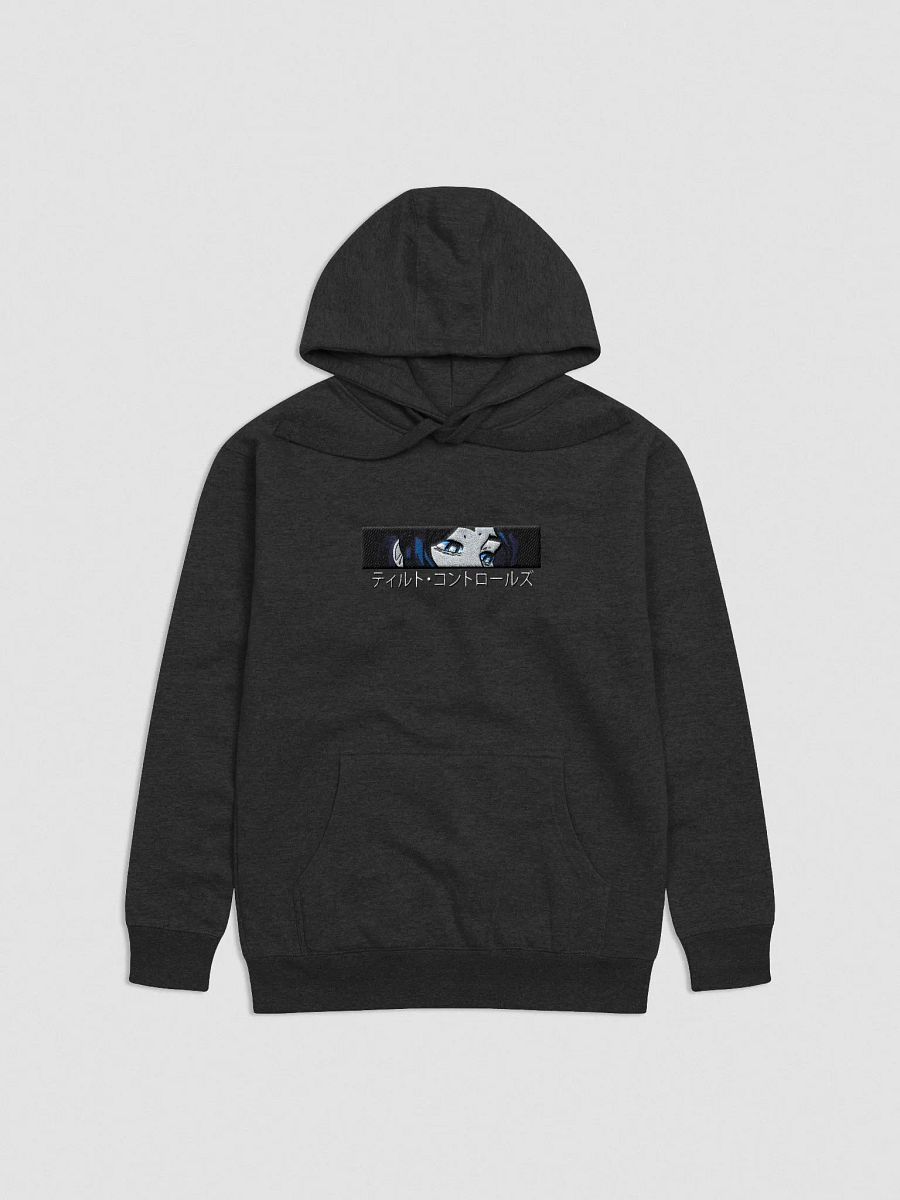 Tilt Controls Embroidered Hoodie product image (1)