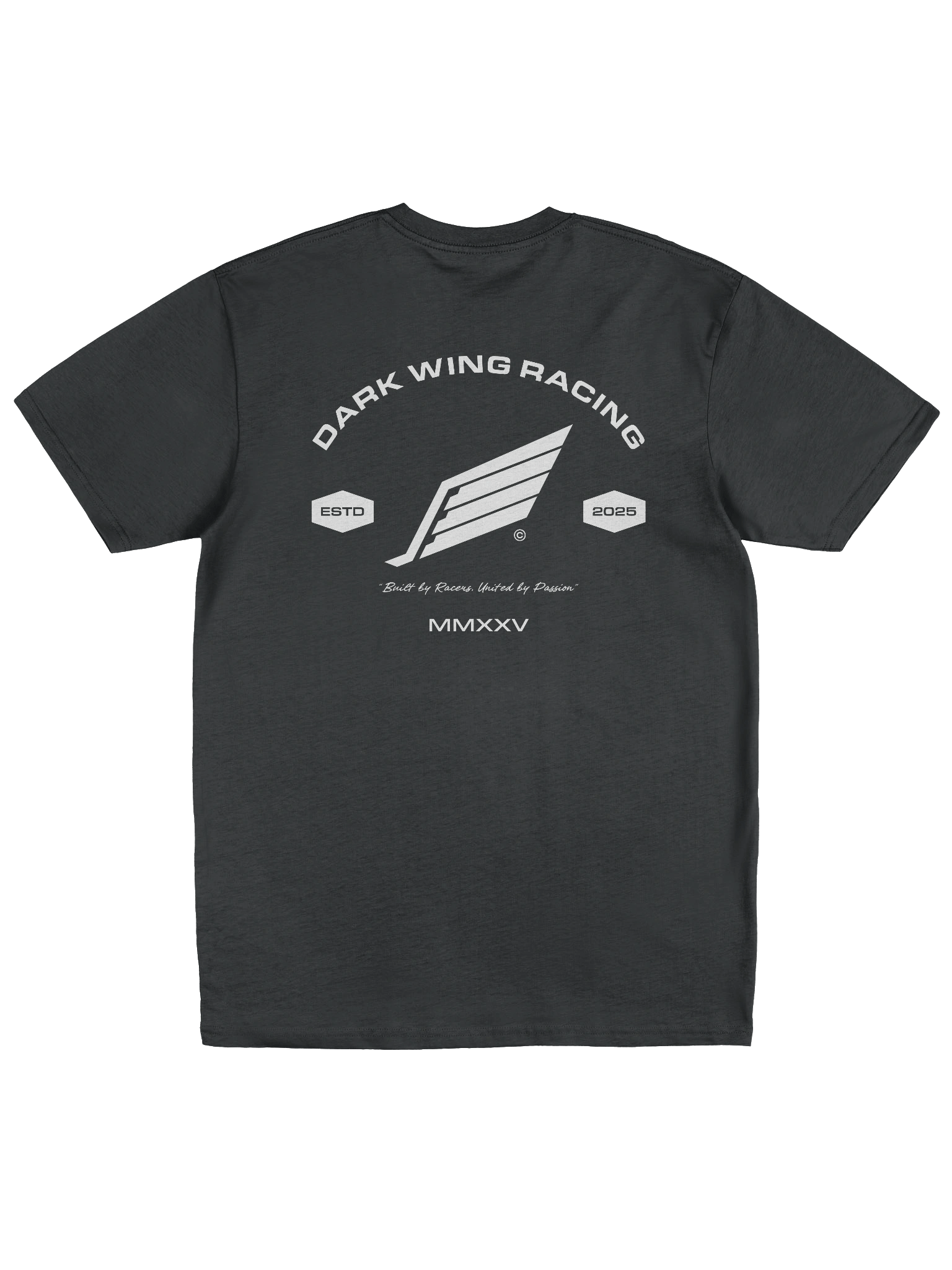 DWR T-Shirt product image (2)