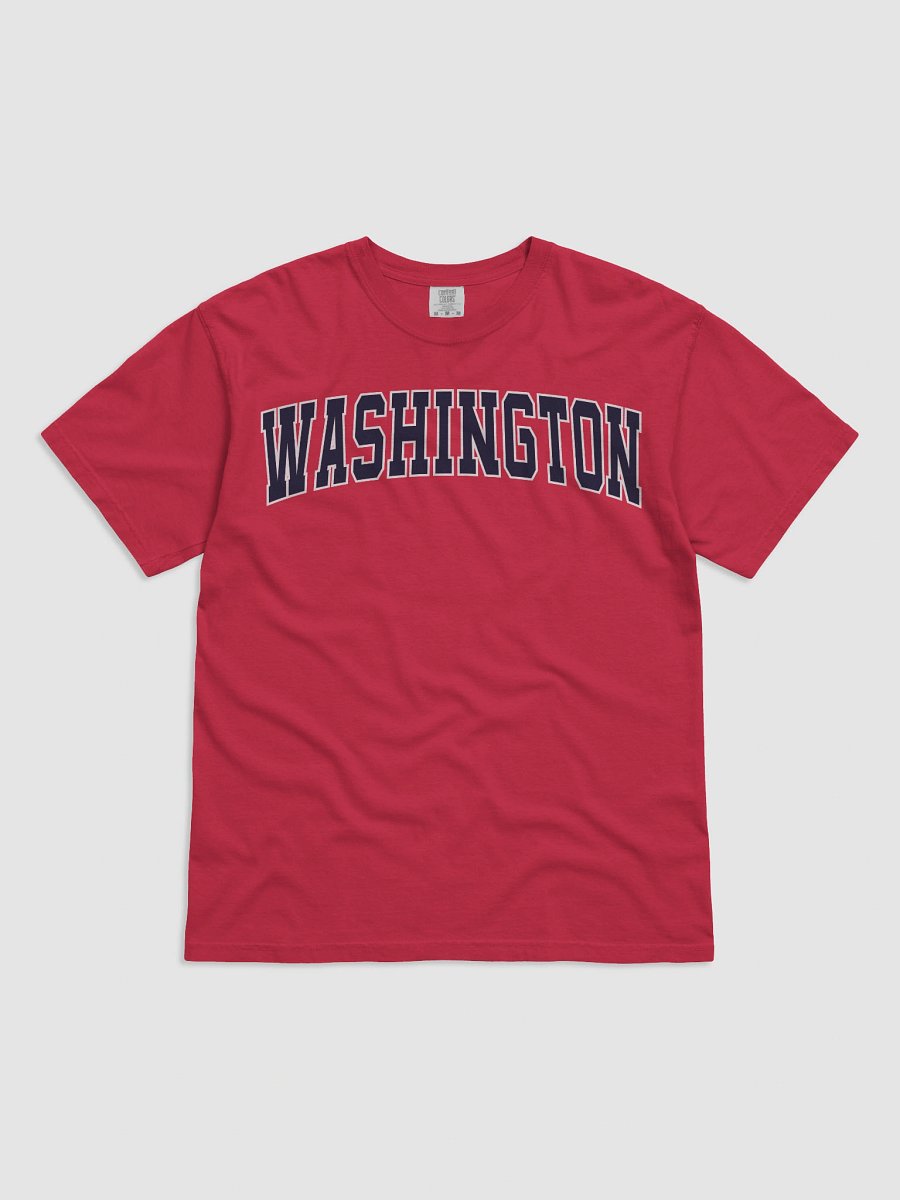 Washington Vintage Stylish Unisex Garment-Dyed T-shirt product image (2)