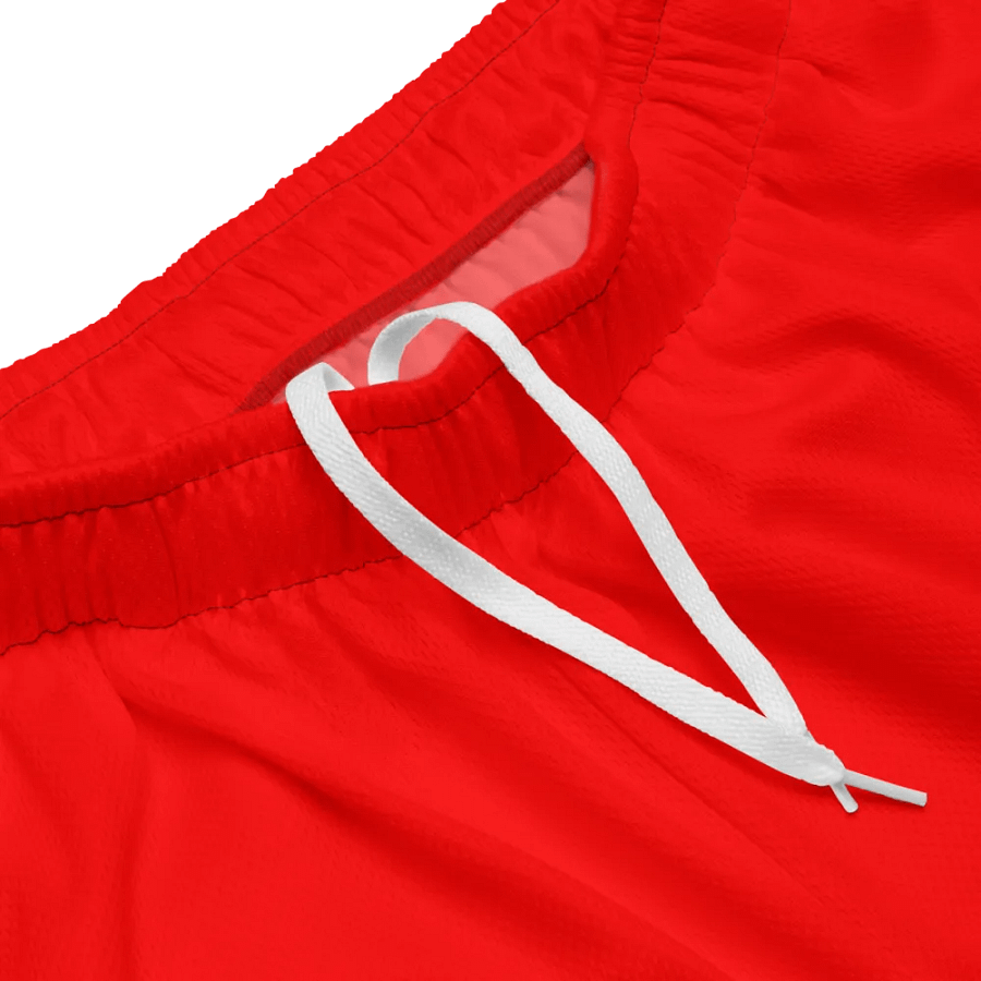 Plain Color Red Mesh Shorts product image (4)