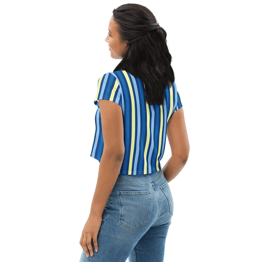 Blue Stripe Crop Top product image (8)