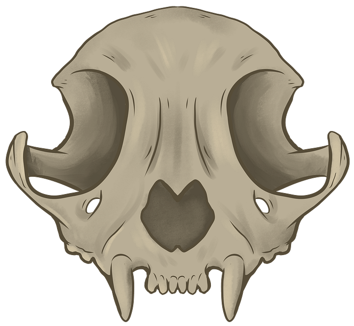 CatSkull product image (1)