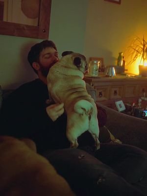 We made it to the weekend. Now it’s time to turn off the lights and relax ☕ #WeekendVibes #Cosyvibes #videography #pugsoftiktok #weekendcheckpoint 
