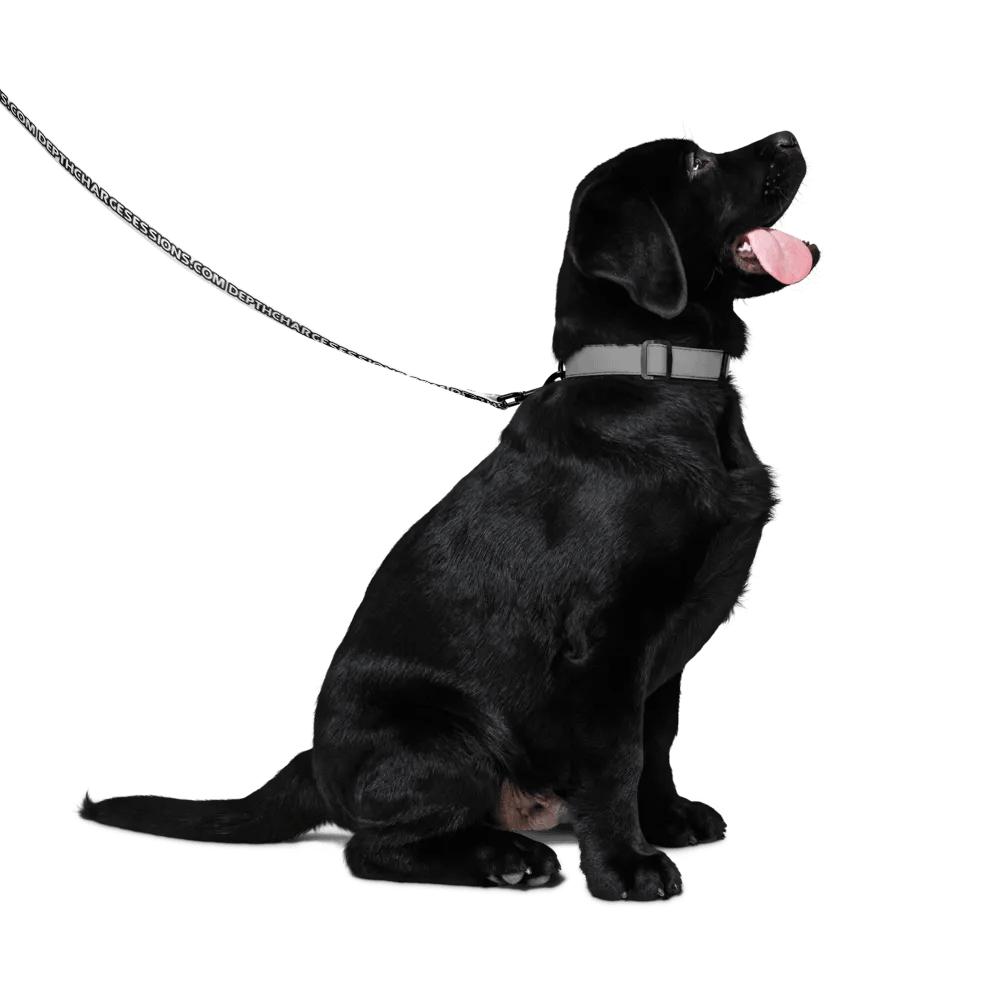 DCS Leash product image (4)