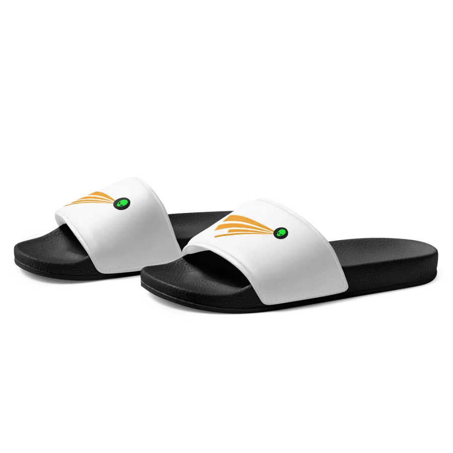 Moon slides product image (3)