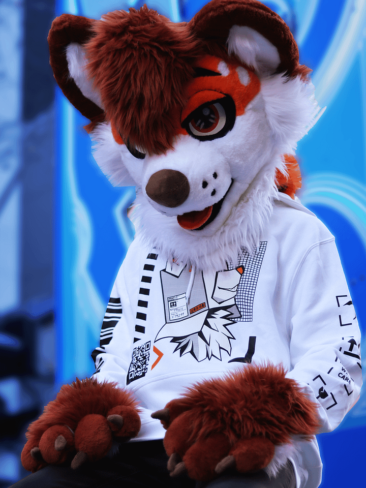 Box Fox Hoodie product image (1)