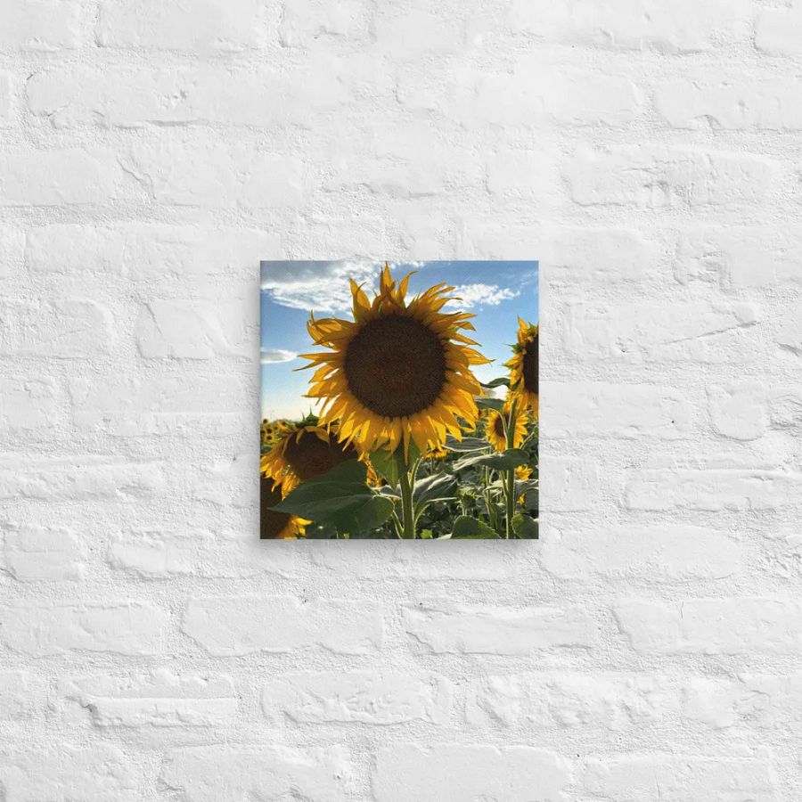 Sunflowers product image (12)