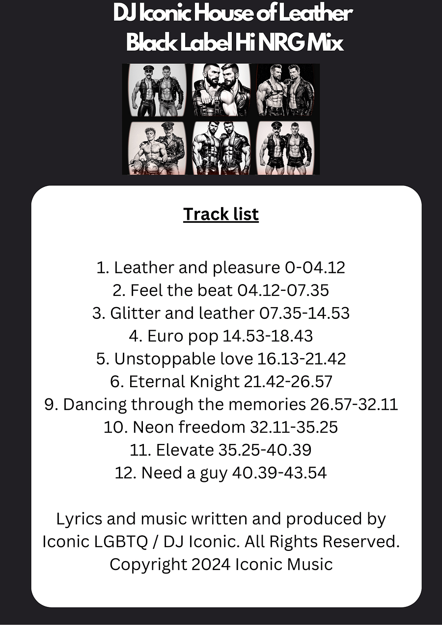 DJ Iconic House of Leather - Black Label Hi NRG Mix product image (2)