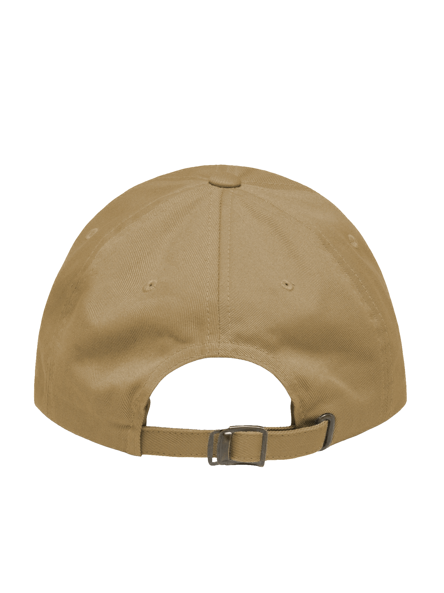 Promote Critical Thinking Now- Dad Hat product image (3)