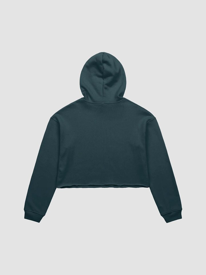 BUIII Limitless Vibes Fleece Crop Hoodie product image (13)