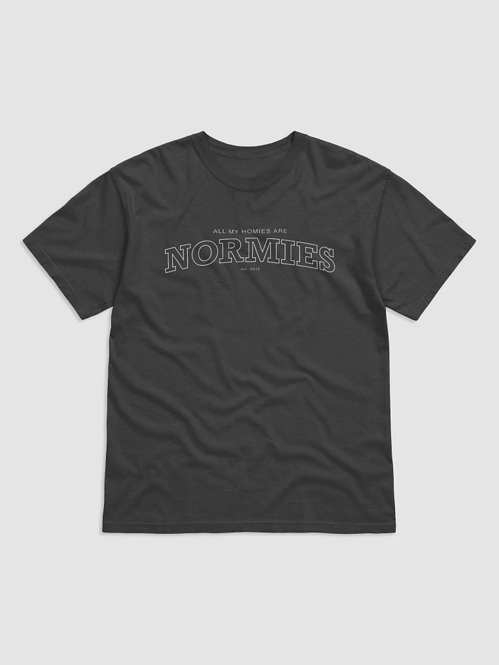 All My Homies Normies - College Tee product image (1)