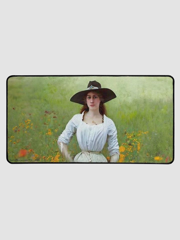 Pioneer Woman DeskMat product image (1)