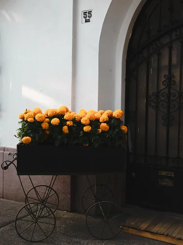 💛🧡🖤

Monarch pattern by @biyabimi