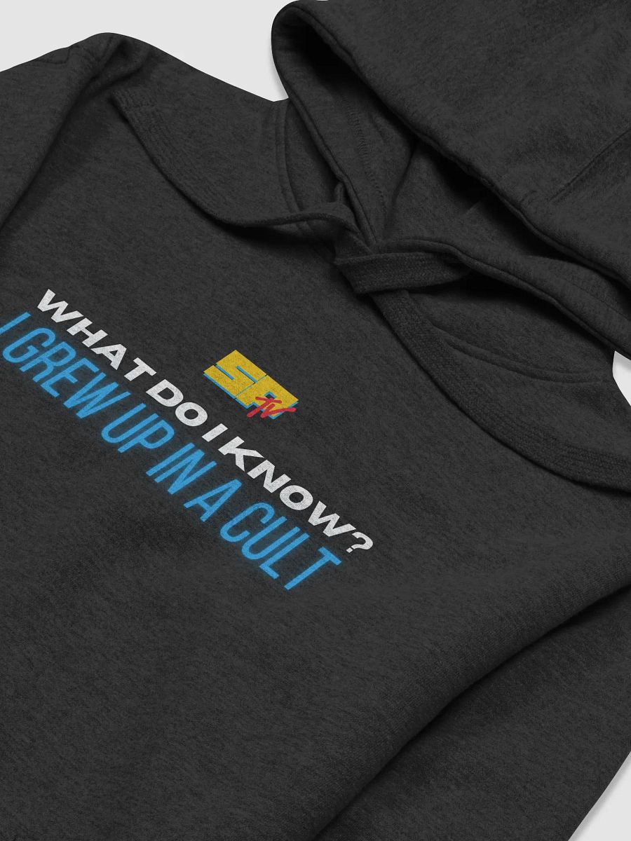 What do I know? Hoodie product image (27)