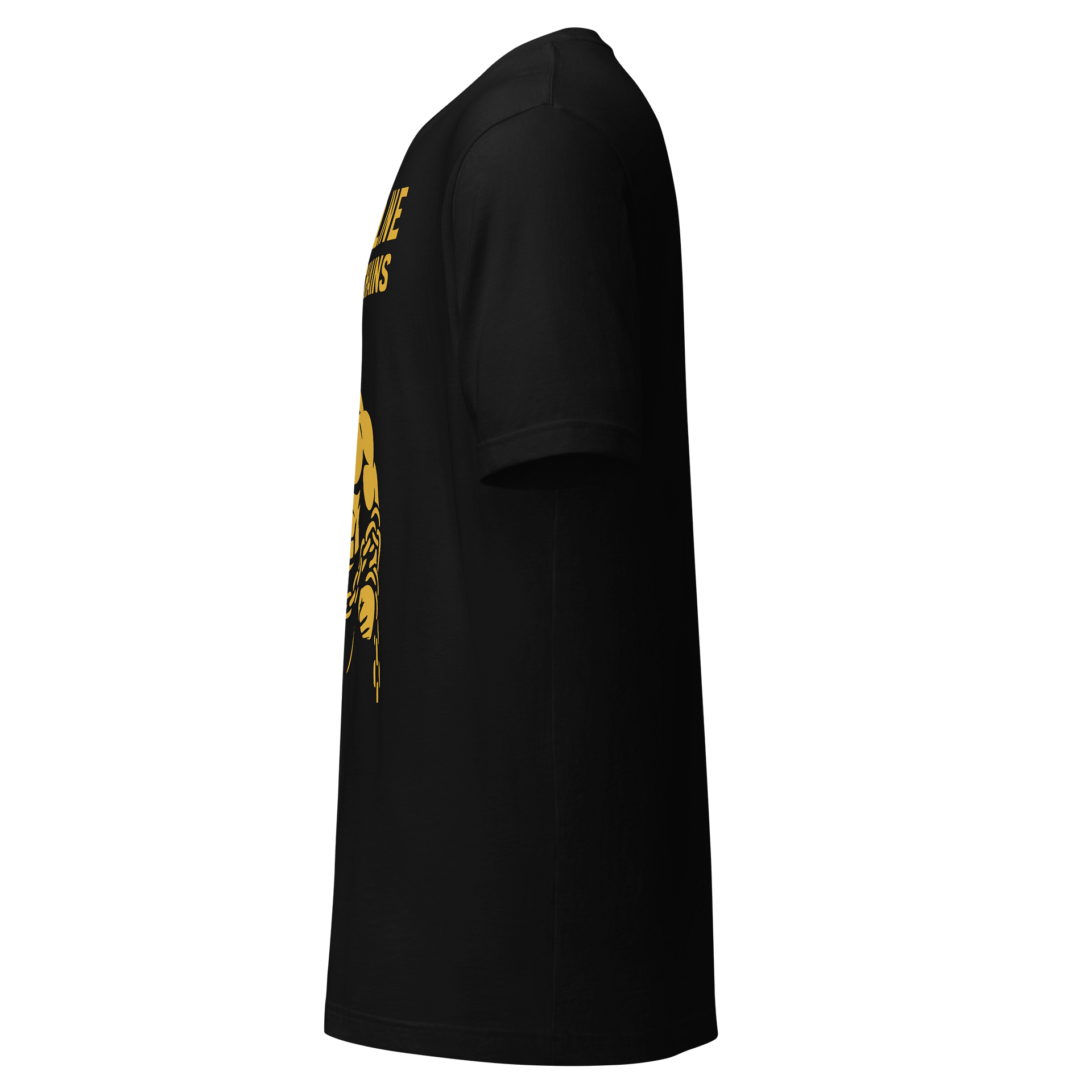 Discipline Breaks Chains Tee product image (9)