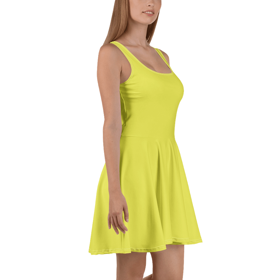 ZAYO Bold Print Skater Dress product image (3)