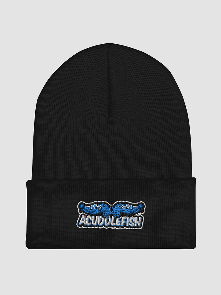 Cuffed Beanie product image (1)