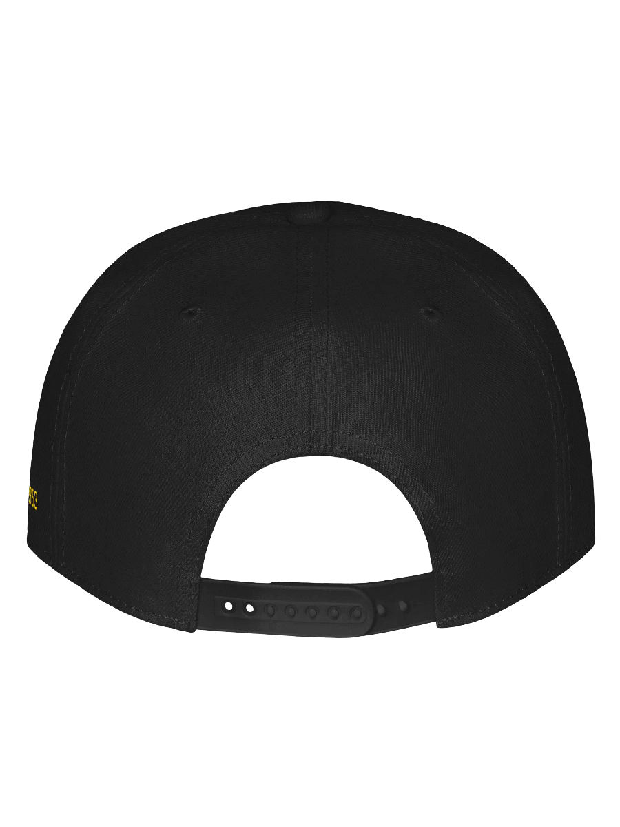 ZAP Logo Snapback Cap [Embroidered] product image (7)