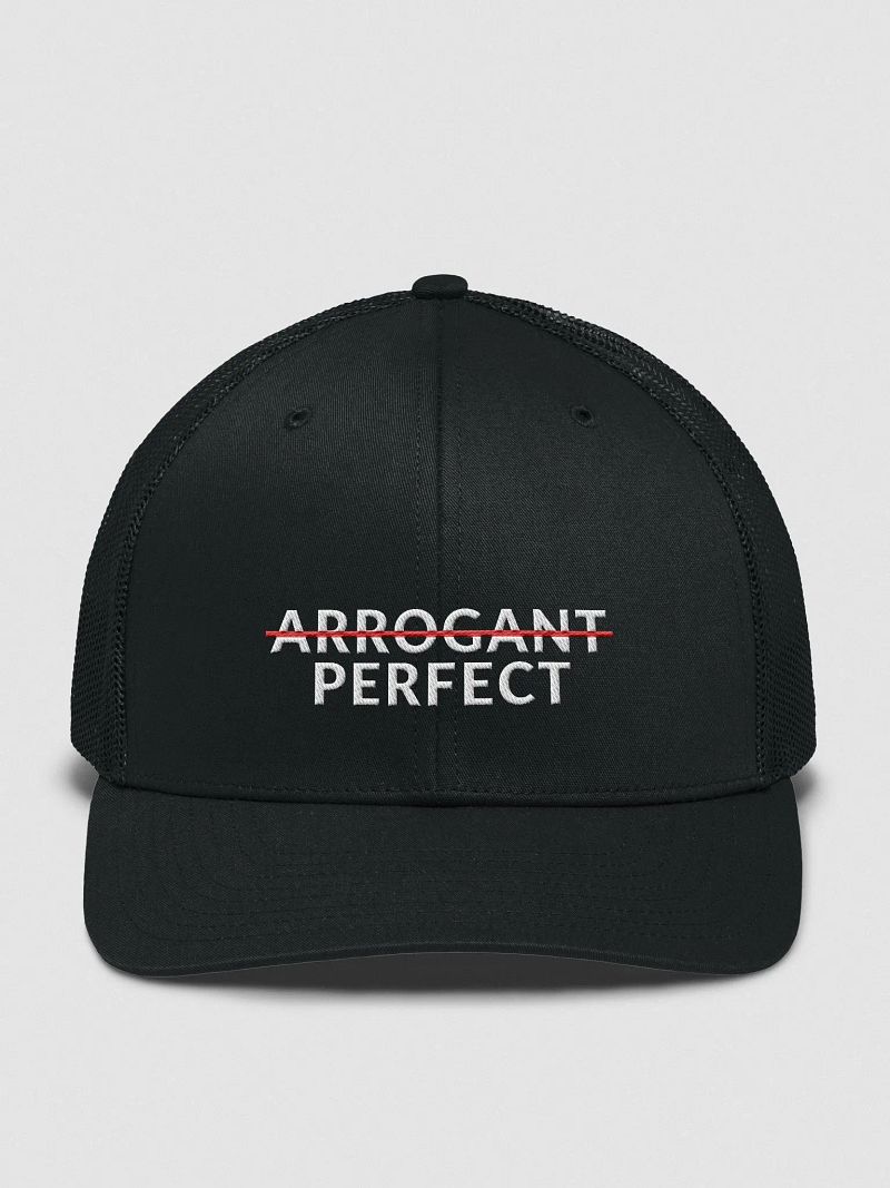 ARROGANT PERFECT - BREATHABLE CAP