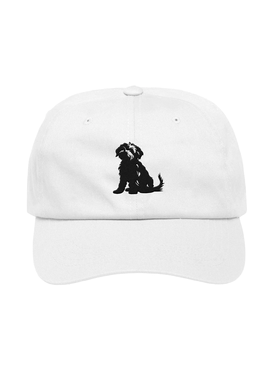 Embroidered "Doodle" Dad Hat product image (10)