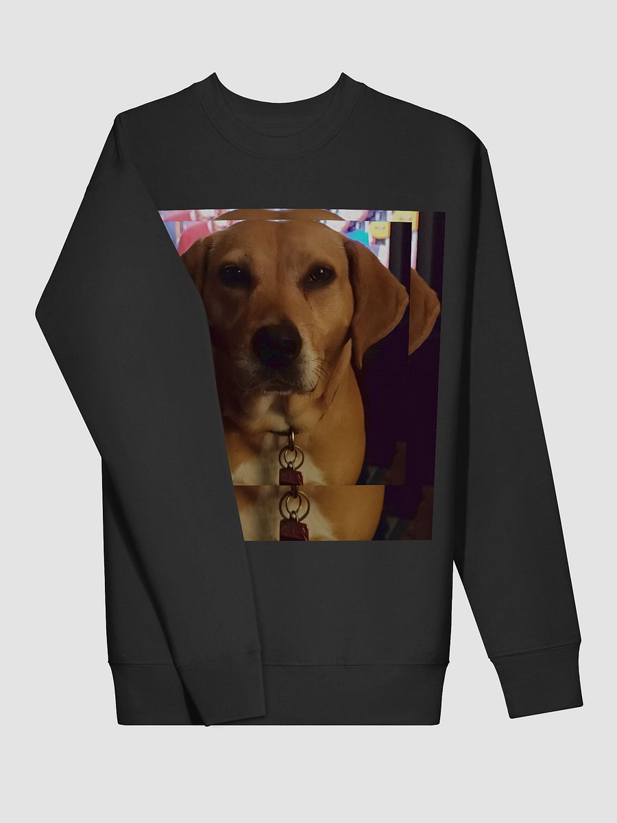 Luna Sweatshirt product image (28)