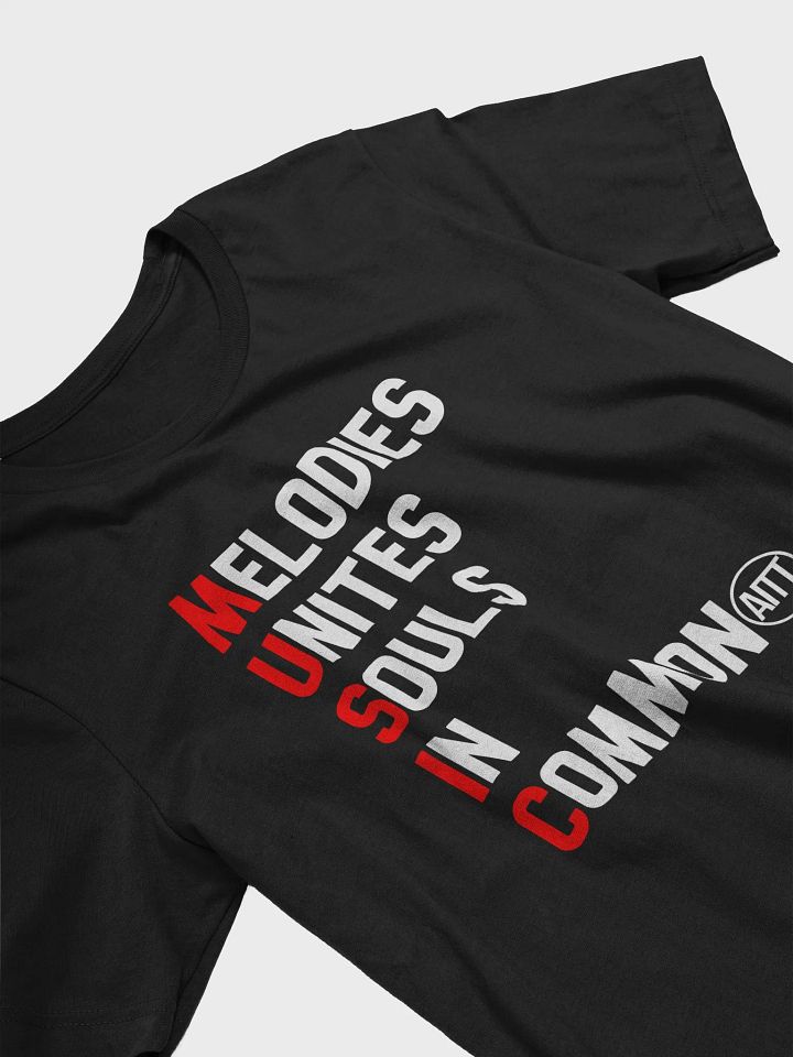 AITT MUSIC Tshirt product image (2)