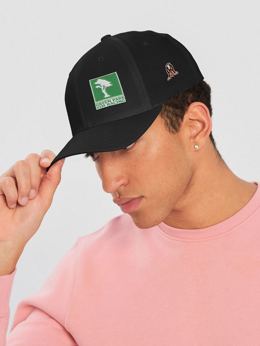 Green Park FlexFit w/ Monkey and Sim Rig Hero Logos product image (36)