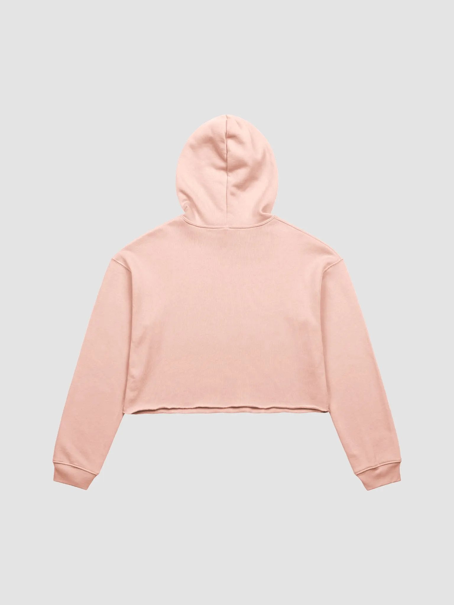 Pineapple Gang Crop Hoodie product image (3)