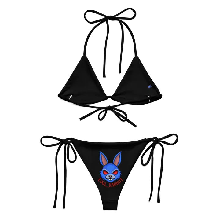 Evol Bikini product image (2)