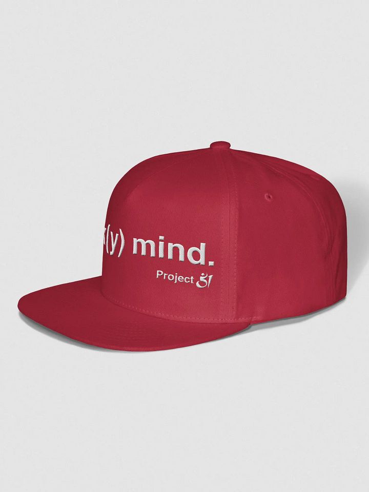 monk(y) mind. snapback product image (2)