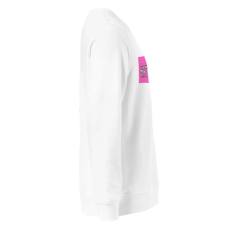 Sweat Shirt product image (3)