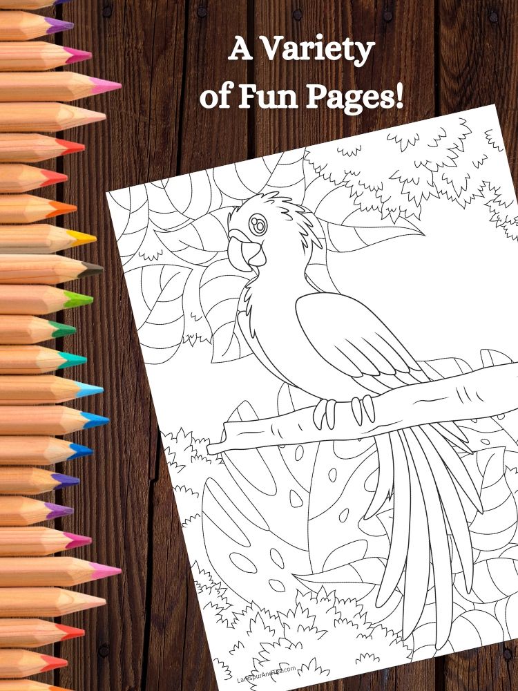 Tropical Birds Printable Coloring Pages product image (4)