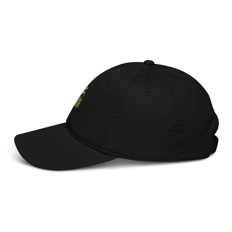 Organic Scissor and Plant Dad Hat product image (3)
