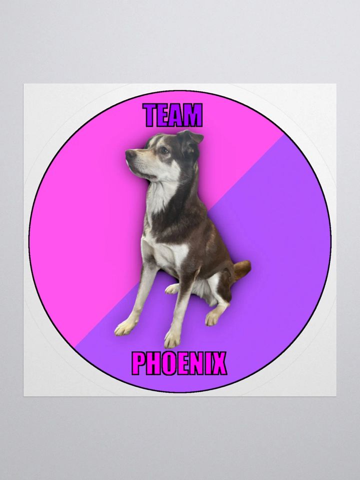 Team Phoenix Stickers product image (2)