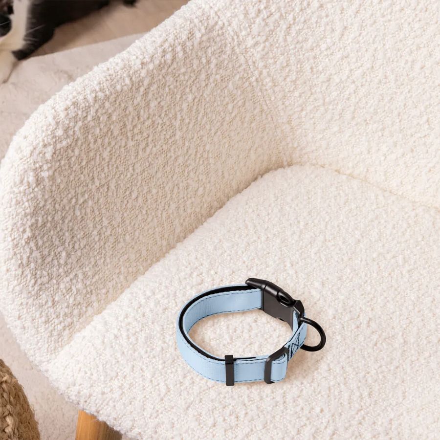 Pet Collar - Pastel Blue Edition product image (5)