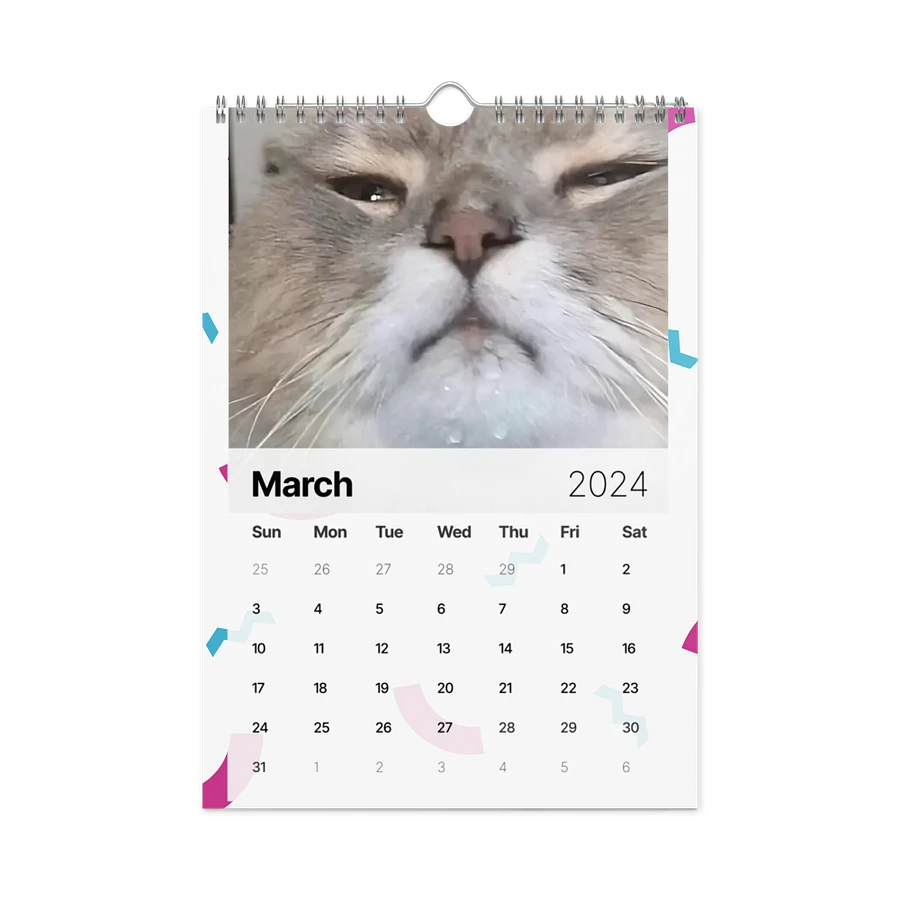 Wall Calendar (2024): Meme Cats product image (13)