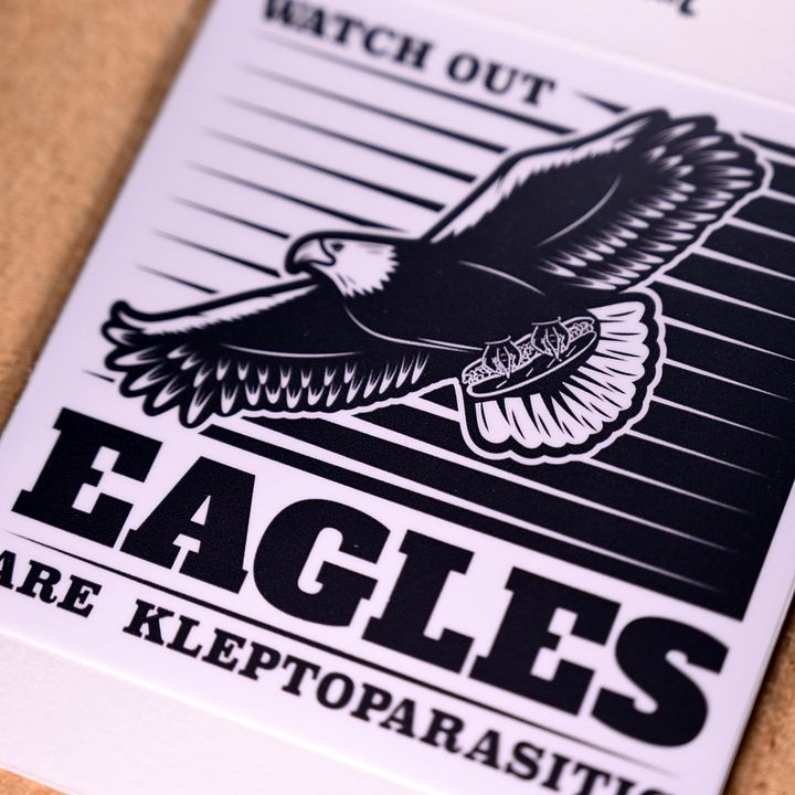 Bird Facts w/wiz product image (2)