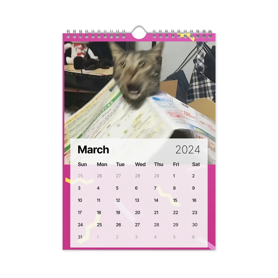 Wall Calendar (2024): Meme Cats product image (13)