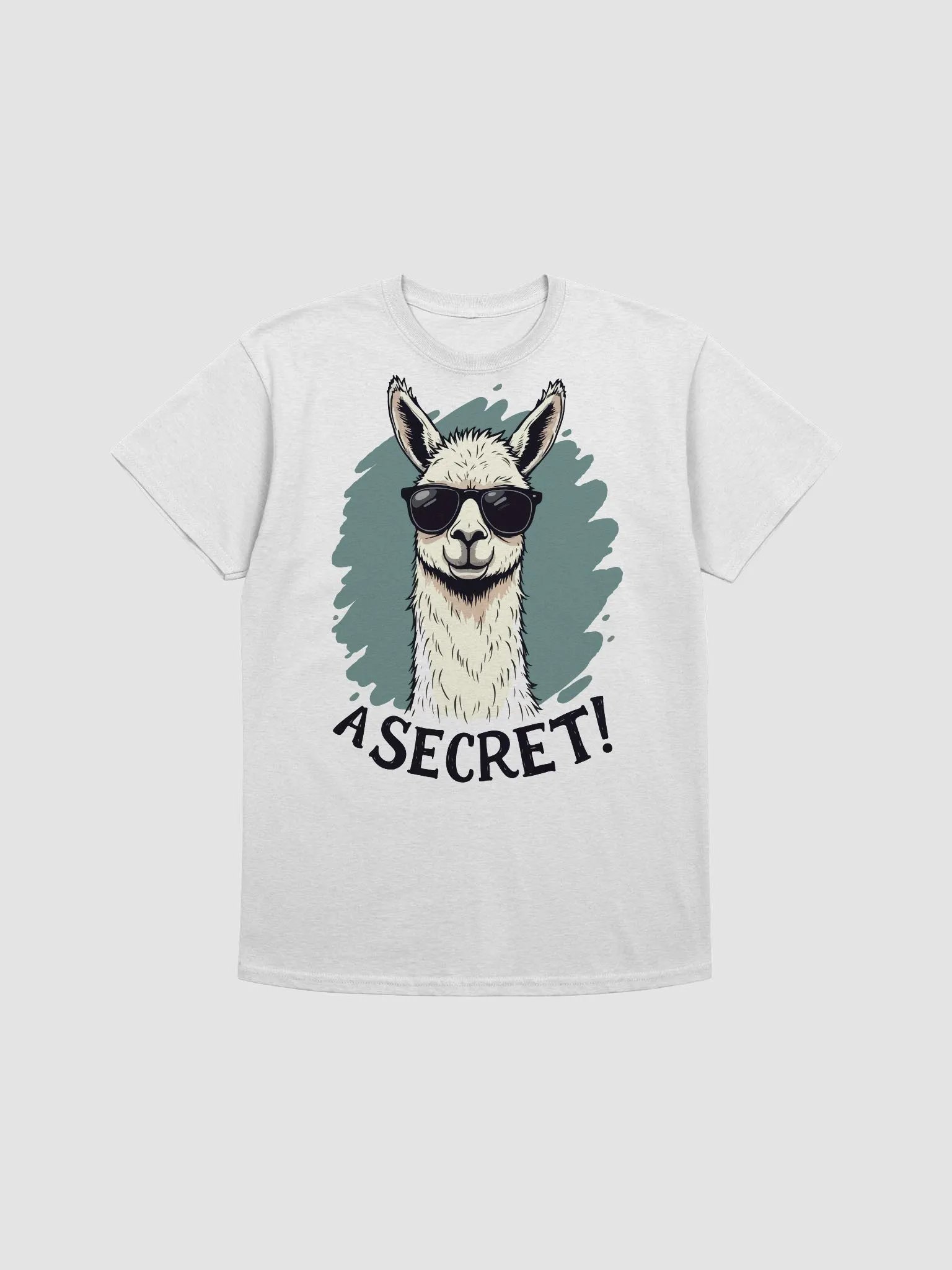 A Secret! Llama T-Shirt product image (1)