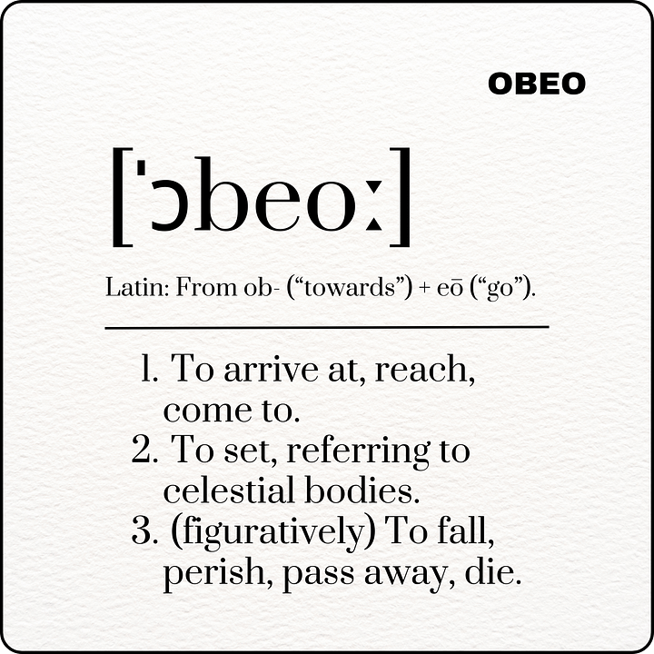 OBEO product image (2)