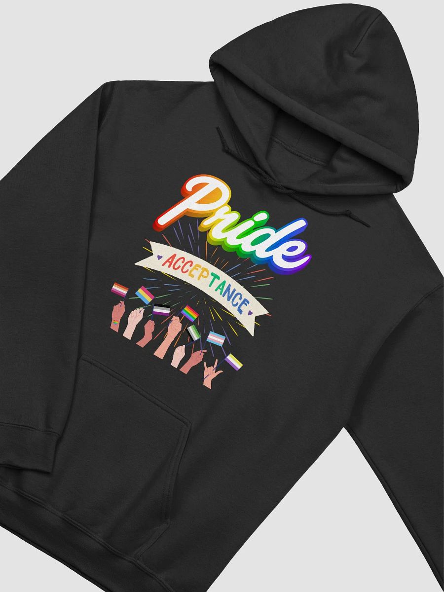 Pride Acceptance Hoodie product image (27)