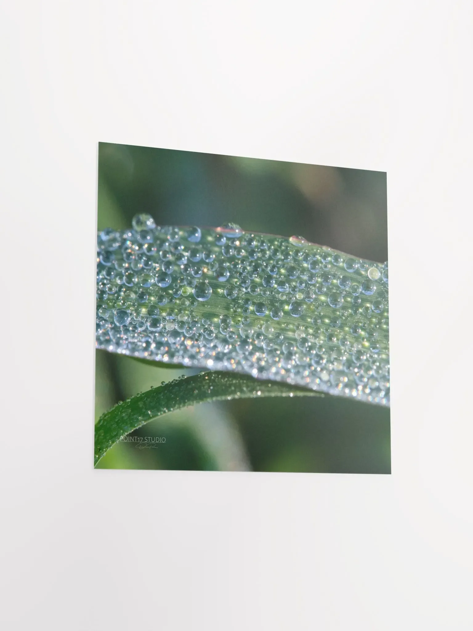 Dew Gems #1 - Print product image (7)